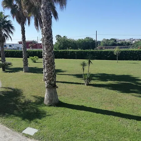 Albachiara